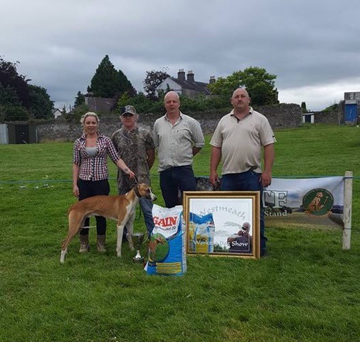 IFA Attend Working Dog Show in Moate Westmeath