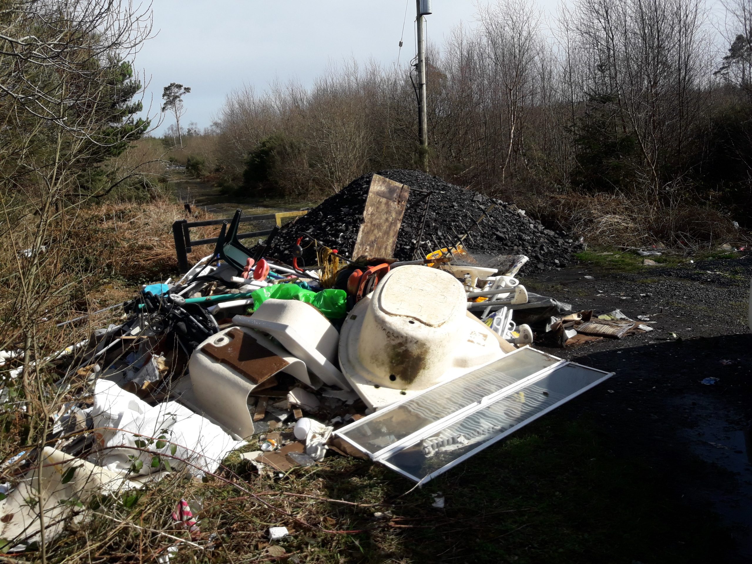 Most common items illegally dumped in Coillte forests during Covid include washing machines, fridge/freezers, household waste, tyres, beds and sofas