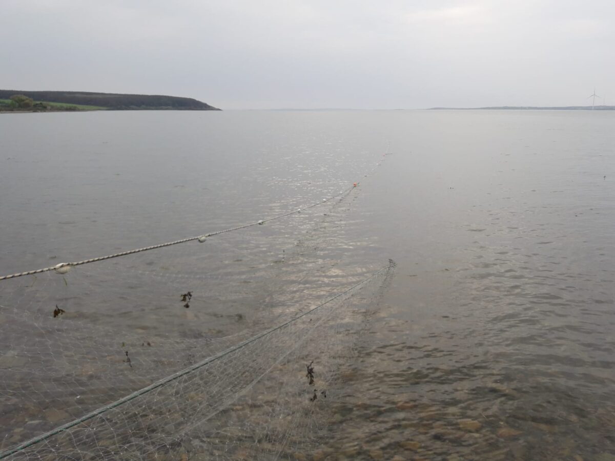 Illegal fishing nets seized last year could line runway at Dublin Airport five times
