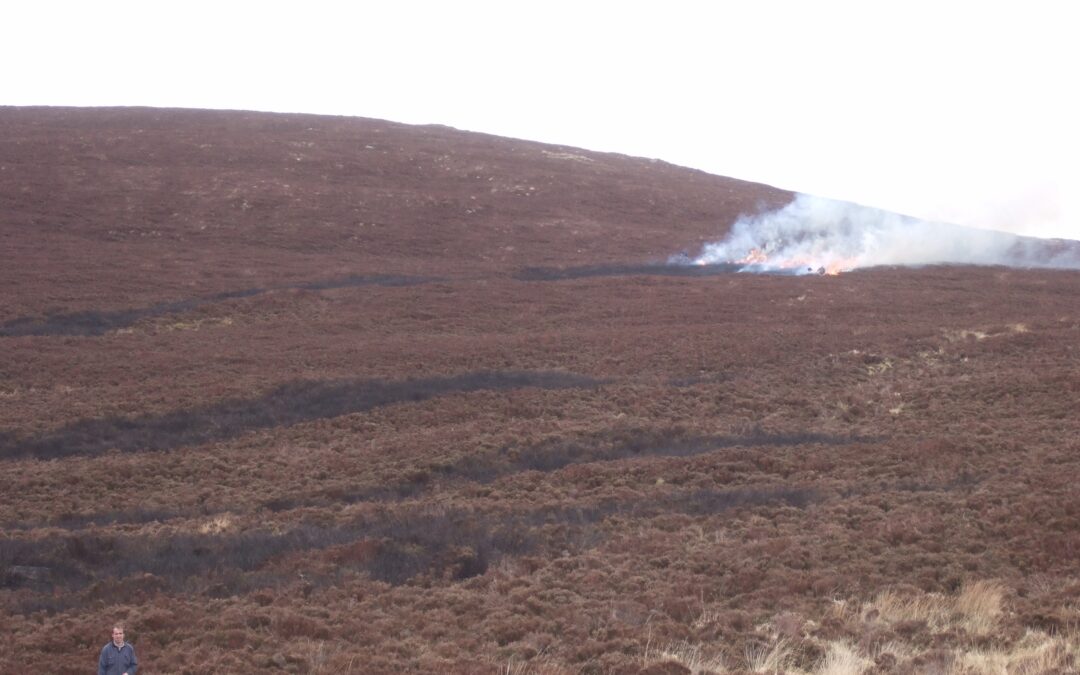 Controlled Burning Period Must Be Extended to Include March – IFA