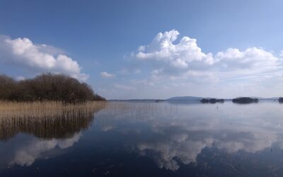 Lough Sheelin anglers invited to be part of a new Citizen Science project