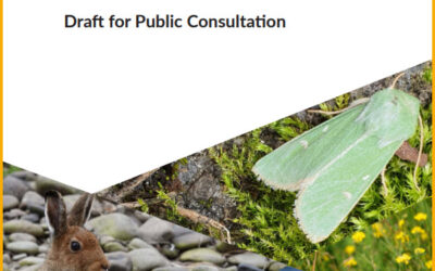 Public consultation on Ireland’s Fourth National Biodiversity Action Plan (NBAP) launched