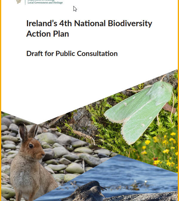 Public consultation on Ireland’s Fourth National Biodiversity Action Plan (NBAP) launched