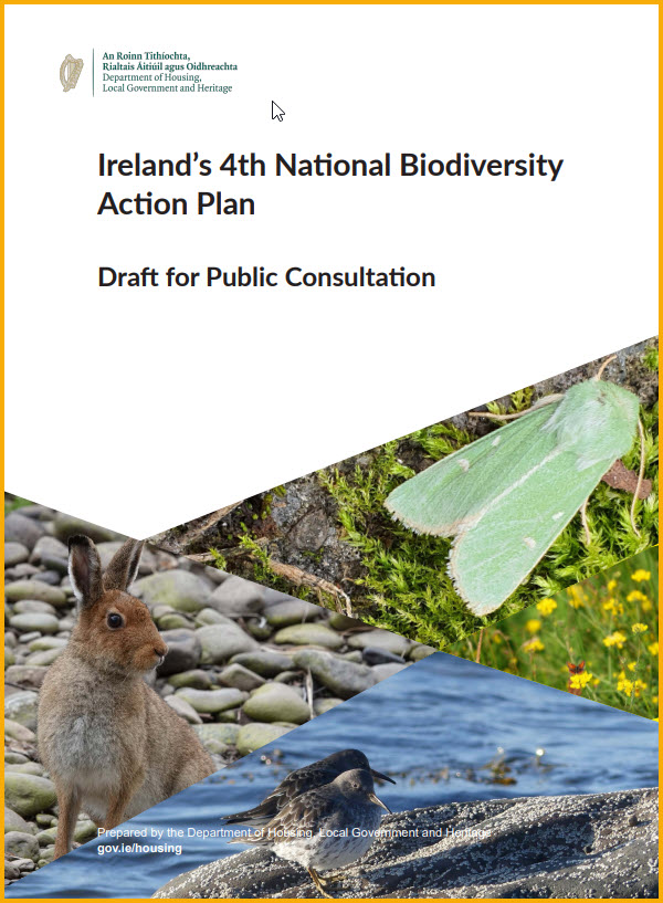 Public consultation on Ireland’s Fourth National Biodiversity Action Plan (NBAP) launched