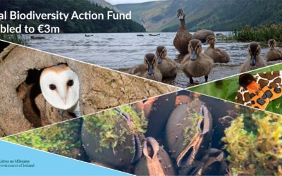 Funding for locally led biodiversity projects doubled to €3m