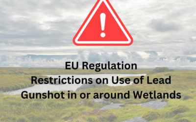 Restrictions on Use of Lead Gunshot in or around Wetlands