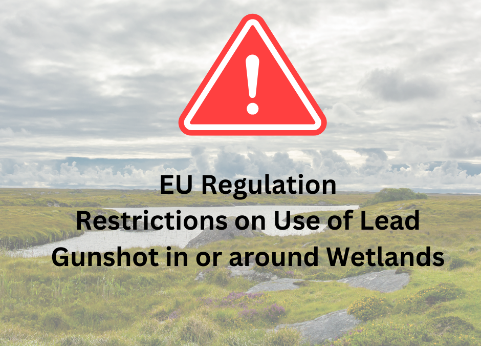 Restrictions on Use of Lead Gunshot in or around Wetlands