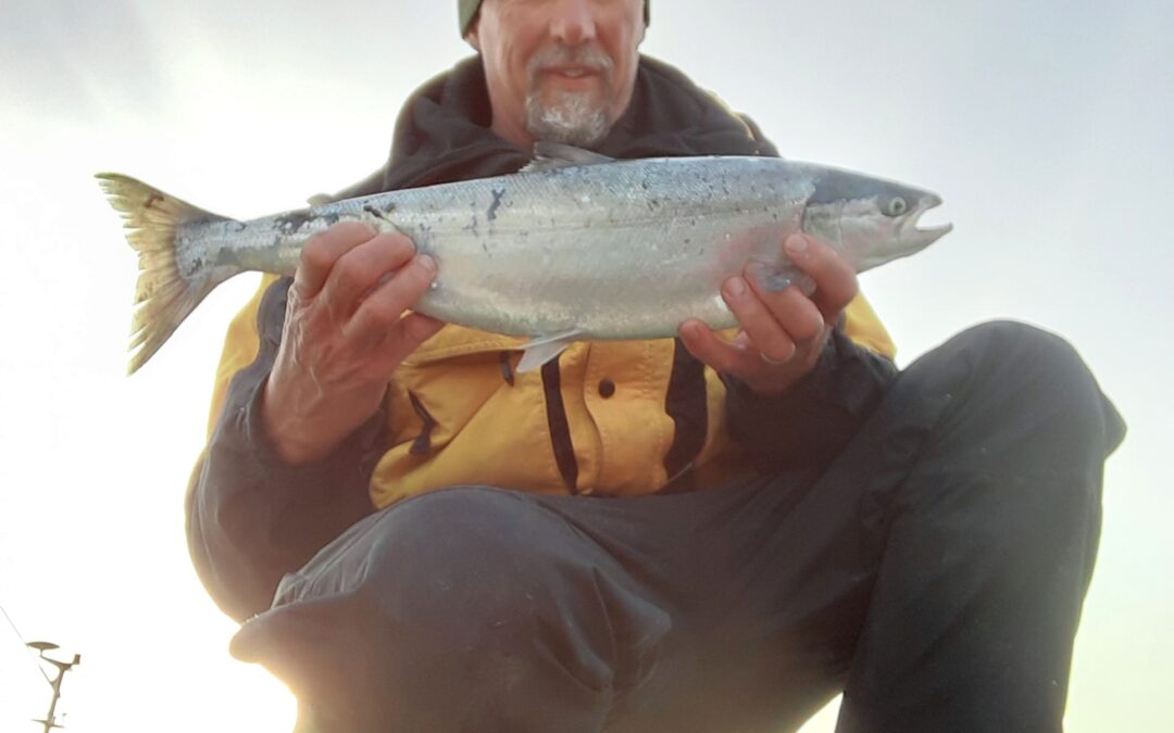 Inland Fisheries Ireland assists in international salmon research project in Greenland