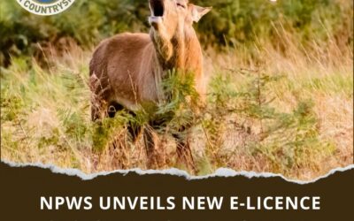 NPWS Unveils New e-Licence Customer Portal for Deer Hunting Licenses