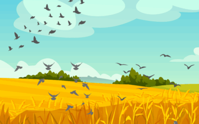 IFA Countryside Urges Members to Complete 2025 Wild Bird Declaration Returns